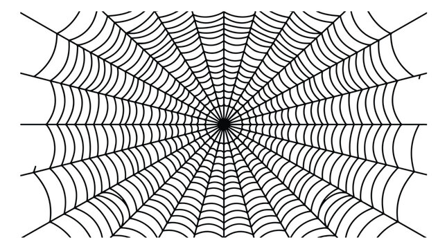 Intricate spider web vector illustration, black cobweb pattern on white background, spooky halloween graphic element for holiday decor and design