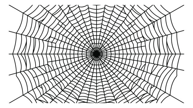 Intricate spider web vector illustration, black cobweb isolated on white background, spooky Halloween graphic element for creepy design projects