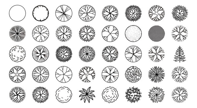 Architectural tree symbols for landscape design, 40 top view plant icons for site planning, black line vector set for garden blueprints