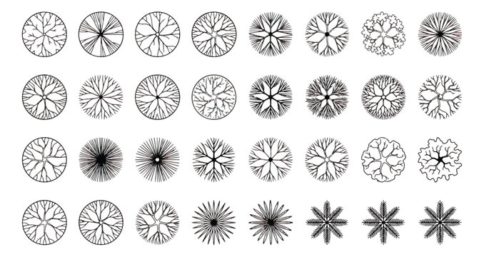 Architectural tree symbols for landscape design, 31 top view plant icons for site planning, black and white garden masterplan vector elements
