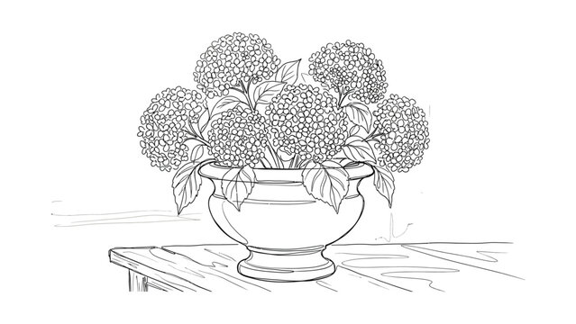 Line art illustration of a bouquet of hydrangea flowers in a decorative bowl.