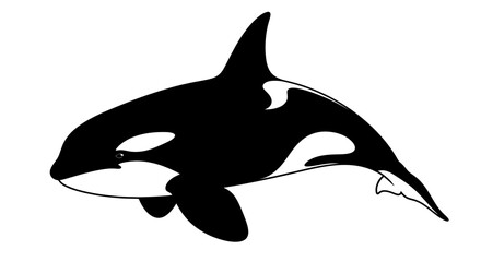 Killer Whale Orca Silhouette Vector Illustration © Tiga