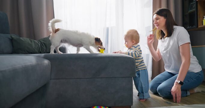 A joyful interaction between a toddler and a small dog playing with a toy on a gray ottoman, while a smiling woman watches closely in a bright living room environment