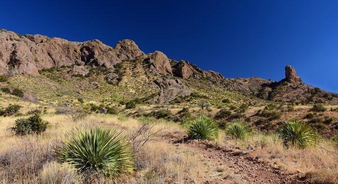 hiking the scenic soledad canyon trail on a sunny winter day in the organ peaks-desert peaks national monument near las cruces in southern new mexico