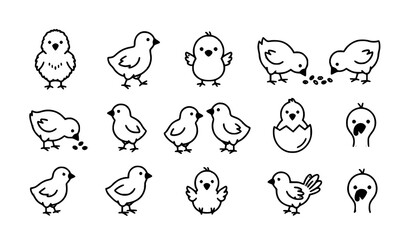 Fototapeta premium Hand Drawn Cute Chick and Baby Chicken Outline Icon Collection for Farm Animal and Poultry Design Projects
