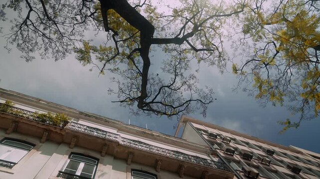 Brooding urban structure with twisted branches under heavy clouds