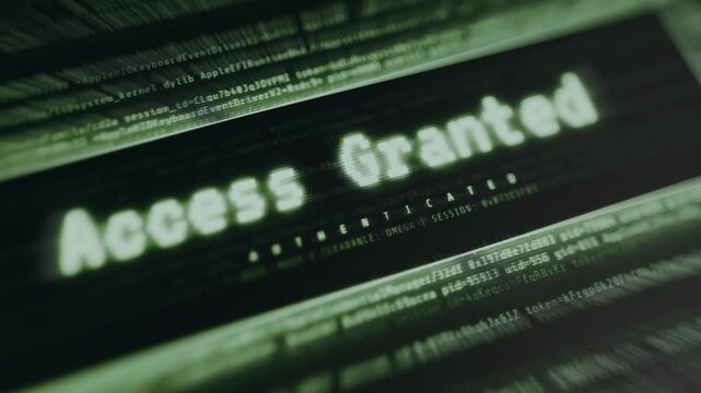 Hacker-style interface showing Access Granted message over glowing green code