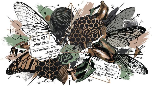  Brutalist collage vector art with vintage insect wings compound eye and honeycomb textures for edgy streetwear graphic design and poster layouts