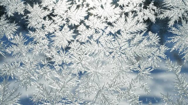 Intricate Ice Crystals on Window Pane, Snowflake Patterns, Winter Frost Texture