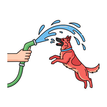 A person uses a garden hose to spray water at a happy jumping dog outdoors