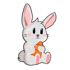 Fototapeta premium Rabbit