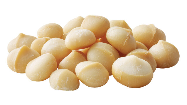 Pile of shelled macadamia nuts