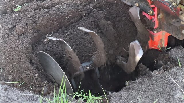 Agricultural tractor tilling soil with cultivator