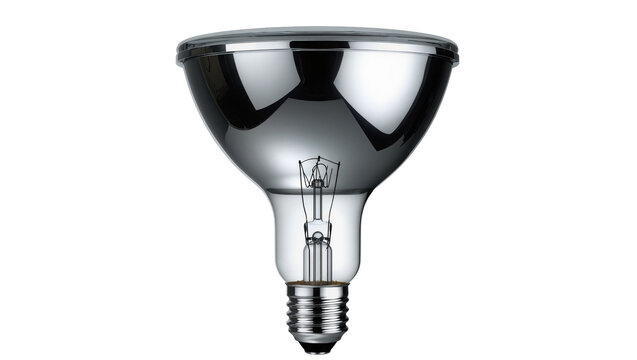 Reflective parabolic light bulb with visible filament and metal base
