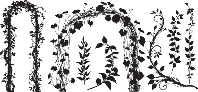 Silhouette floral vines and arches, various styles of climbing plants, including ivy-like creepers and rose vine arbors. used in graphic design for wedding invitations or decorative art. vector