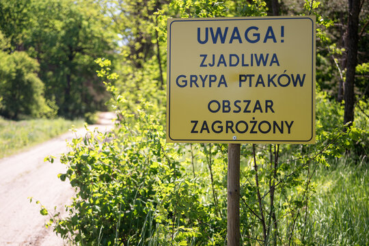 Ptasia grypa - obszar zagrożony - tablica informująca o występowaniu tej choroby na tym terenie