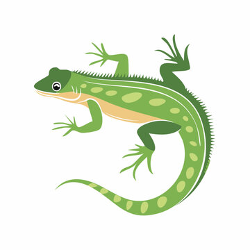 Green Lizard Illustration