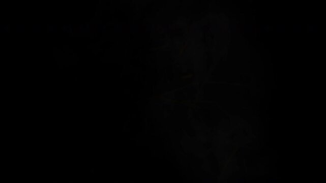 Gun Muzzle Flash Fire Stream FX with Smoke Animation Isolated on Black Background