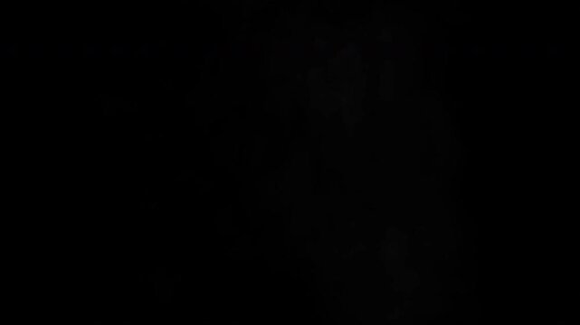 Gun Muzzle Flash Fire Stream FX Animation with Smoke Isolated on Black Background