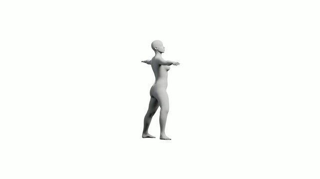 Mannequin in t-pose against white background