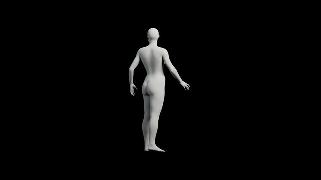 3D mannequin model standing on black background