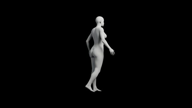 3D mannequin model standing front view