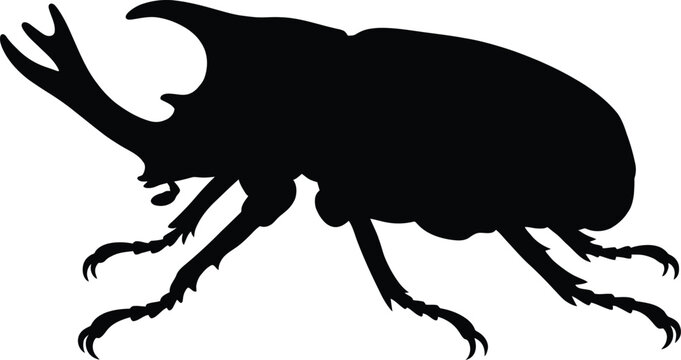 Silhouette of rhinoceros beetle.