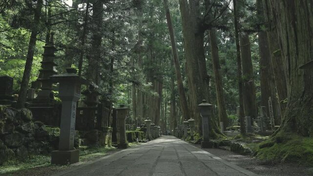POV Walkthrough at Okunoin, Koyasan in Early Summer Dawn &ndash; Toward the Mausoleum of Kobo Daishi　「初夏の早朝・世界遺産 高野山・奥之院」主観移動撮影(弘法大師御廟方面) 和歌山県高野町