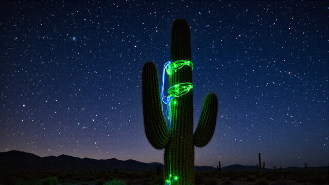 large saguaro cactus in a dark desert with blinking server rack lights and cables instead of spines, starry night sky, neon glow