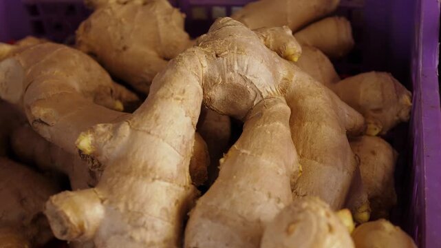 Knobbly and fragrant ginger roots arranged at an Italian street market, an exotic spice increasingly embraced in modern Italian cooking for its bold and warming aromatic qualities.