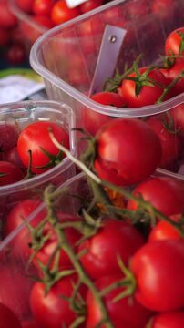 Vertical: Glossy Pachino cherry tomatoes from Sicily gleaming at an Italian market stall, a prized IGP variety renowned for its intense sweetness, thin skin and irreplaceable role in Italian cuisine.