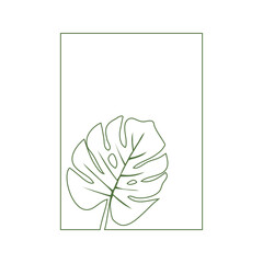 Logo paraíso tropical. Dibujo minimalista con líneas de una hoja de planta tropical monstera en un rectángulo  © teracreonte