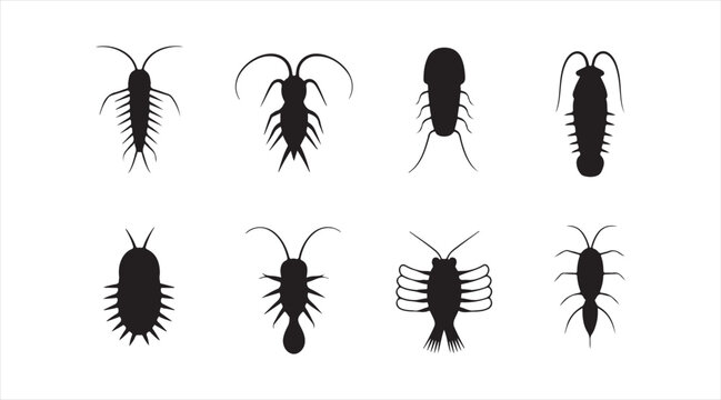 Arthropod Silhouette Pack Showing Various Insects Bugs and Crawling Creatures Isolated on White Background