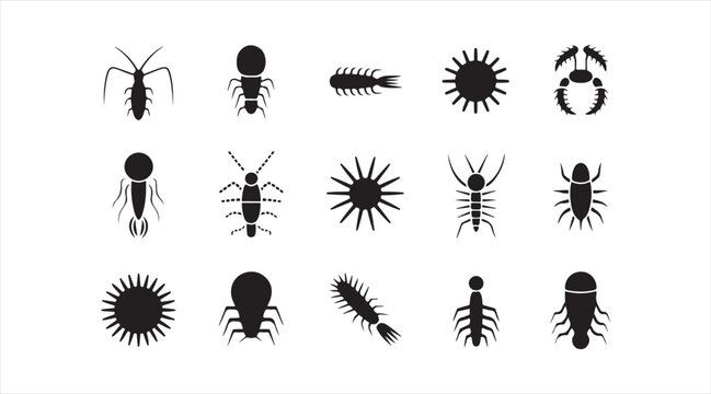Black Insect Vector Collection with Bug Icons for Biology Entomology and Pest Control Themes