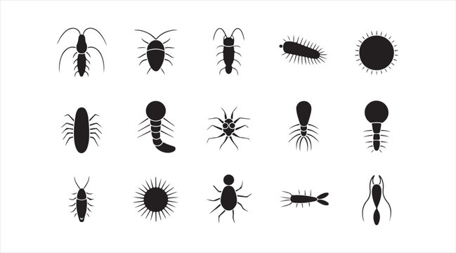 Insect Silhouette Icon Set Featuring Beetles Ants Centipedes and Arthropod Symbols