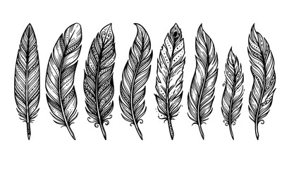 Modern hand drawn feather vector illustration set elegant natural ink line art design © MdShafikul