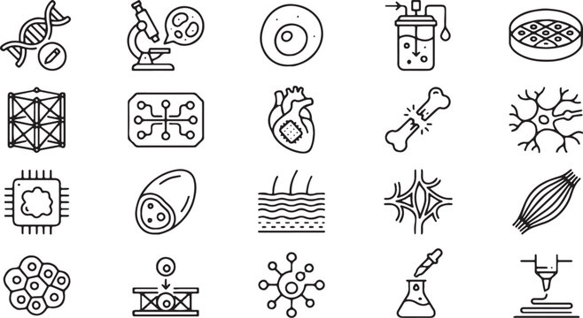 Biotechnology and Bioengineering Monoline Vector Icon Set - 20 Minimalist symbols of DNA, cell culture, organoids, heart health, and medical research.