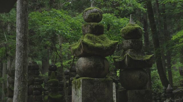Moss-Covered Memorial Stupas at Okunoin, Koyasan, Koya Town, Wakayama, Japan　「高野山・奥之院の供養塔の苔」和歌山県高野町