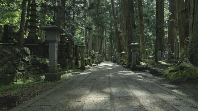 Early Summer Morning at Okunoin, Mount Koya (Toward the Mausoleum of Kobo Daishi), Wakayama, Japan　「初夏の早朝 高野山・奥之院」(弘法大師御廟方面) 和歌山県高野町