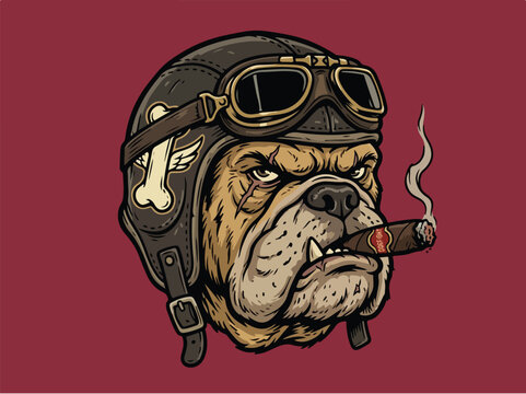 Bulldog Pilot Mascot Wearing Aviator Helmet Smoking Cigar Illustration.