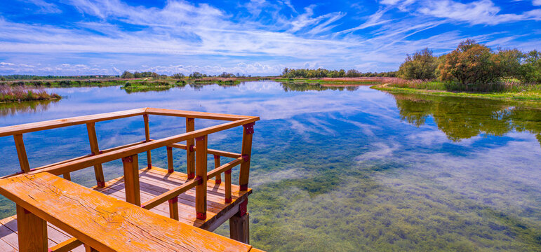 Tablas de Daimiel National Park, Daimiel, Ciudad Real, Castilla La Mancha, Spain, Europe