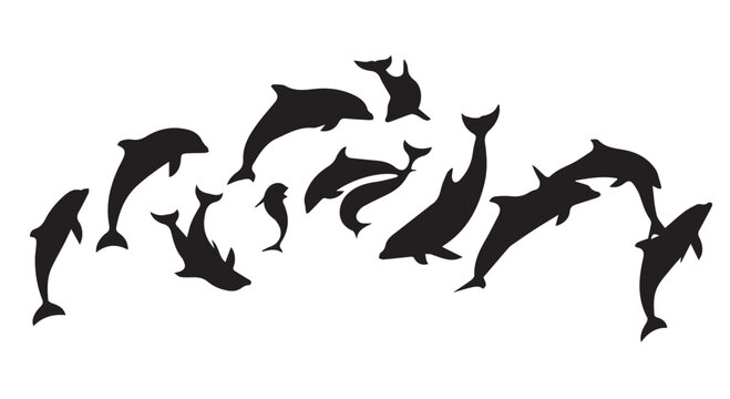 Jumping dolphins