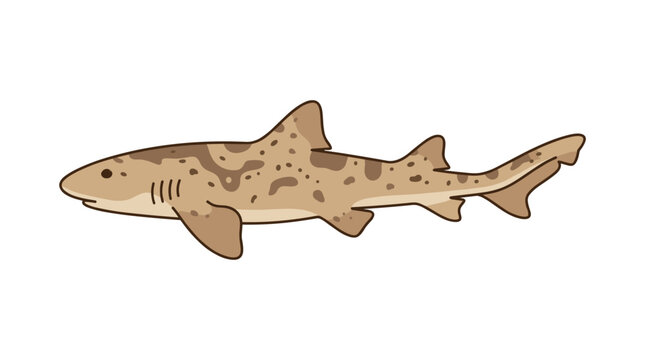 Cute cartoon leopard shark illustration isolated on white background
