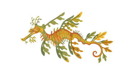 Obraz premium Illustration of a Leafy Sea Dragon with flowing appendages and intricate details on a white background