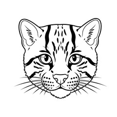 Fototapeta premium Ocelot Face Line Art Illustration