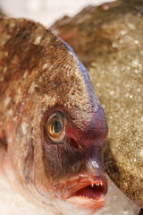 Fototapeta premium Fish at Mercado de San Miguel market, Madrid, Spain.