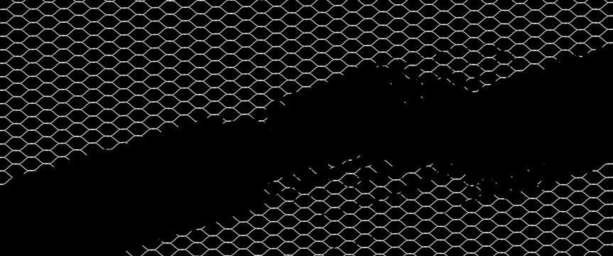 Net texture pattern on white background. Net texture pattern for backdrop and wallpaper. Realistic net pattern with black squares. Geometric background, vector Eps10