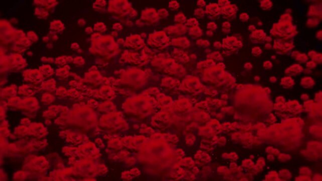 
Medical animation showing hantavirus particles moving through the bloodstream with red blood cells inside a vein. Ideal for healthcare, biology, disease awareness, medical presentations and science c