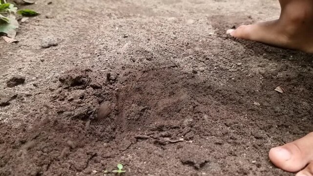 Child digs soil with trowel.