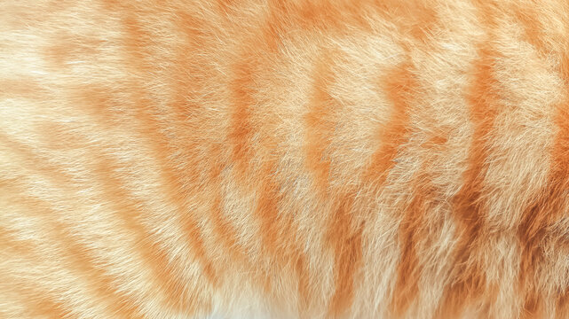Detailed macro view of yellow orange tabby cat fur with soft fluffy texture and natural striped pattern, ideal for pet backgrounds, animal texture projects, and cozy abstract wallpapers.